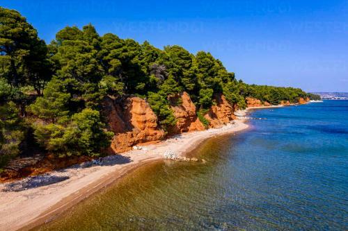 Apartamento Metamorfosi Pine Forest View