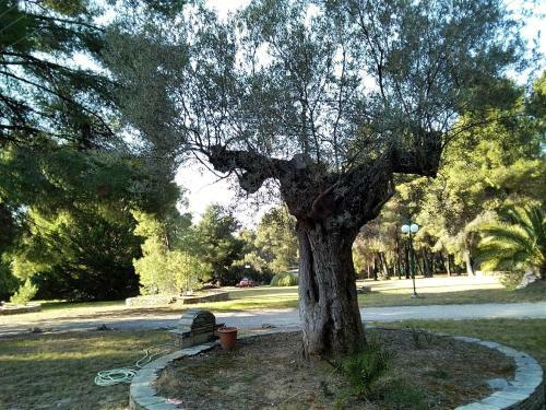 Apartamento Skiourakia
