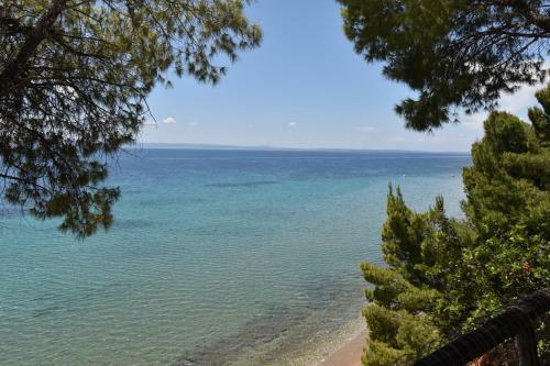Squirrel Beach Front Villa, Metamorfosi