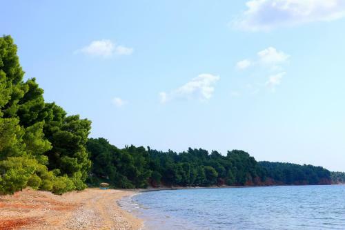 Squirrel Beach Front Villa, Metamorfosi