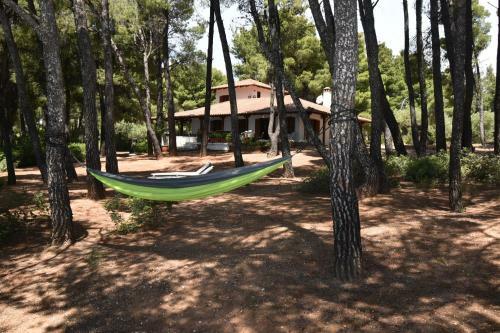 Squirrel Beach Front Villa, Metamorfosi