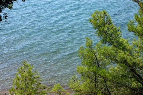 Squirrel Beach Front Villa, Metamorfosi
