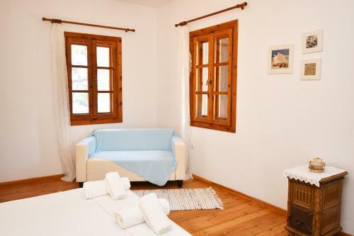 Squirrel Beach Front Villa, Metamorfosi
