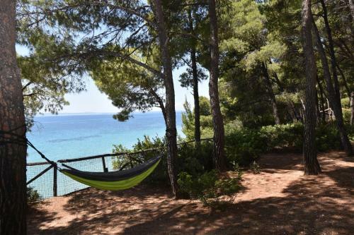 Squirrel Beach Front Villa, Metamorfosi