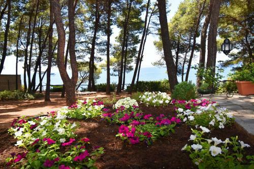 Squirrel Beach Front Villa, Metamorfosi