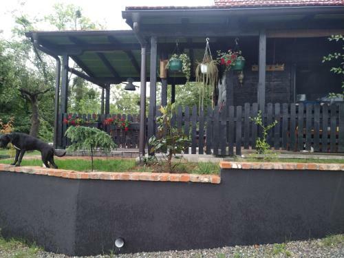 Apartamento The Mouse House