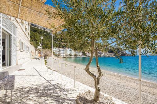 Dream Beach Apartment