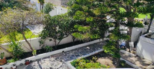 Apartamento Paraga Garden Studio
