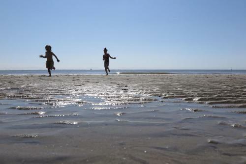 Slaapstrandhuisje - Strand Dishoek 60 Dishoek