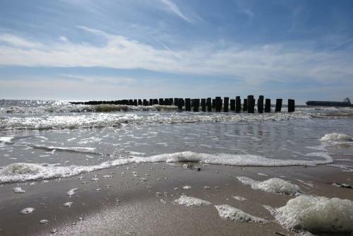 Slaapstrandhuisje - Strand Dishoek 60 Dishoek
