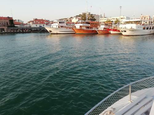 Hostal Marti Hotel