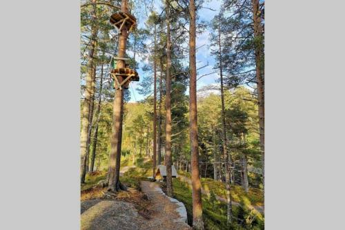 Villa Hytte I Stryn Med Elbil Lader
