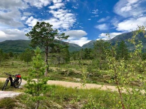 Fagre Stryn Feriehus