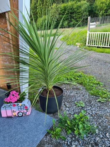Hostal R�dseth G�rdsovernatting Deluxe/familie Rom