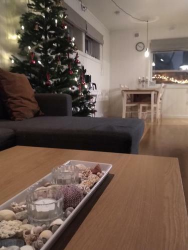 Modern Apartment