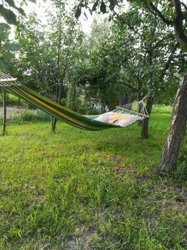 Lavander Garden Camping