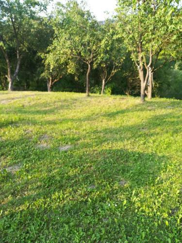 Lavander Garden Camping