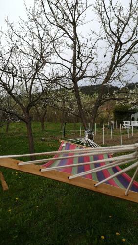 Lavander Garden Camping