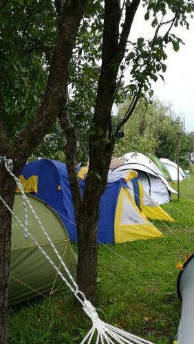 Lavander Garden Camping