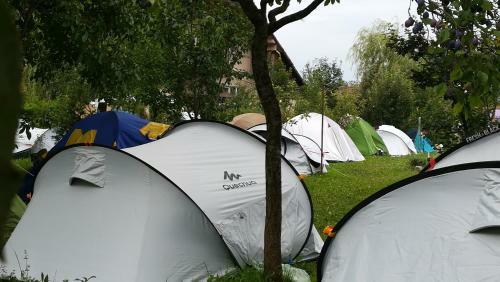Lavander Garden Camping