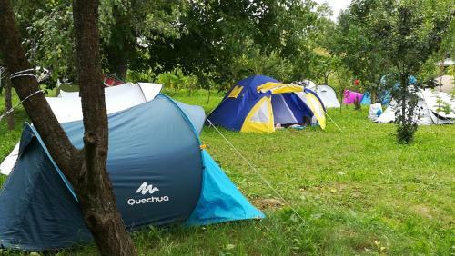 Lavander Garden Camping