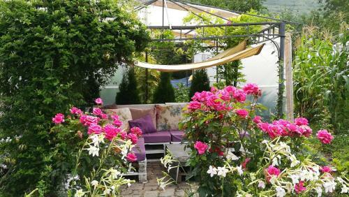 Lavander Garden Camping