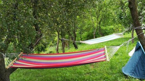 Lavander Garden Camping