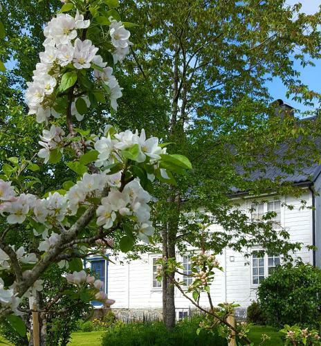Apartamento Kj�rsvik �vre