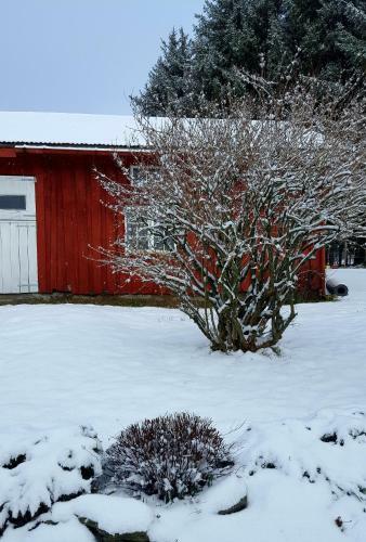 Apartamento Kj�rsvik �vre