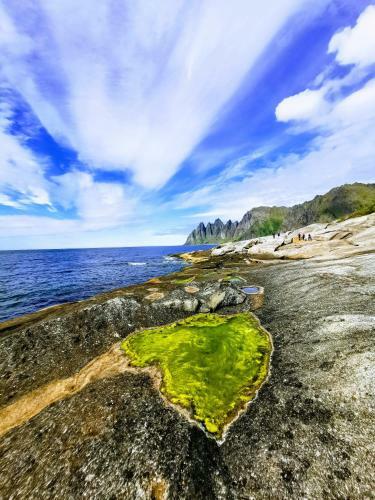 Apartamento Waterfront Senja