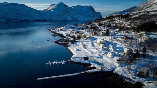 Senja Fjordcamp