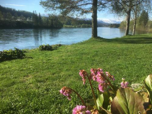 Bakarstuo, Utp� Neset