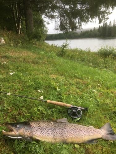 Bakarstuo, Utp� Neset