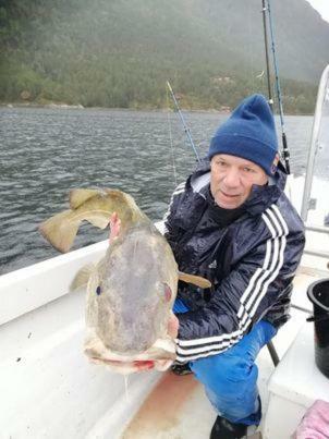 Landlig Hus P� Kysten