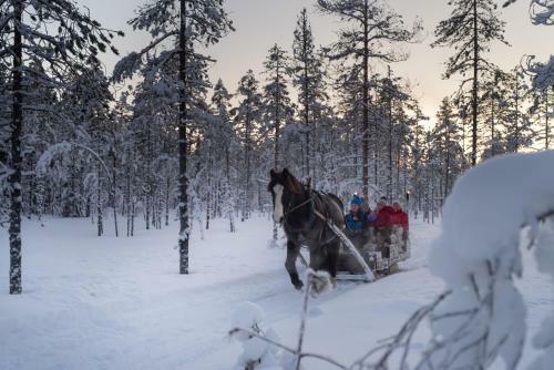Apartamento Mountain Lodge, Topptrysil 6+1 Guest -skihytta