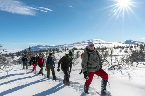 Apartamento Mountain Lodge, Topptrysil 6+1 Guest -skihytta