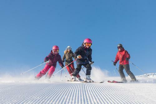 Apartamento Mountain Lodge, Topptrysil 6+1 Guest -skihytta