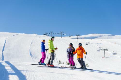 Apartamento Mountain Lodge, Topptrysil 6+1 Guest -skihytta