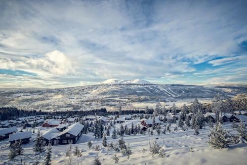 Apartamento Mountain Lodge, Topptrysil 6+1 Guest -skihytta