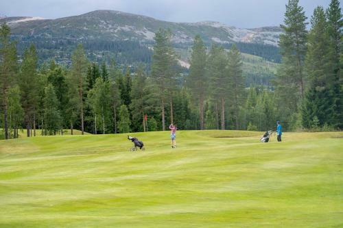 Apartamento Mountain Lodge, Topptrysil 6+1 Guest -skihytta