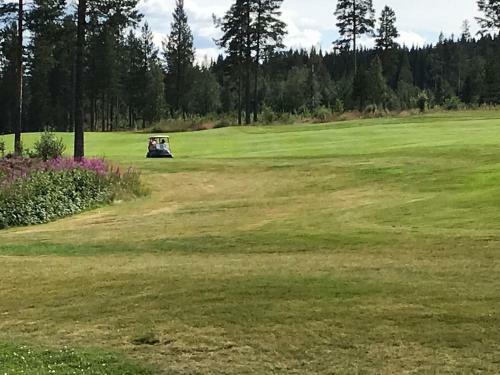 Lillebj�rn
