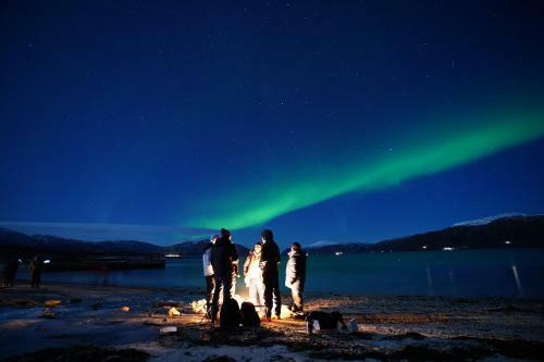Arctic Rooms Rektor