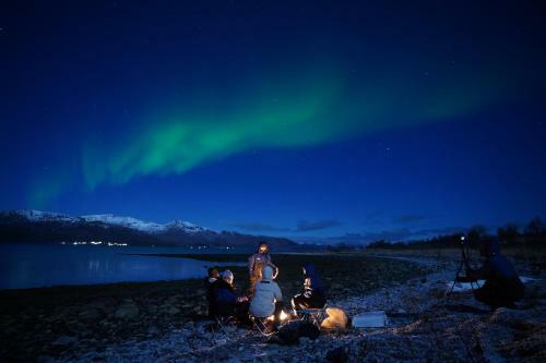 Arctic Rooms Rektor