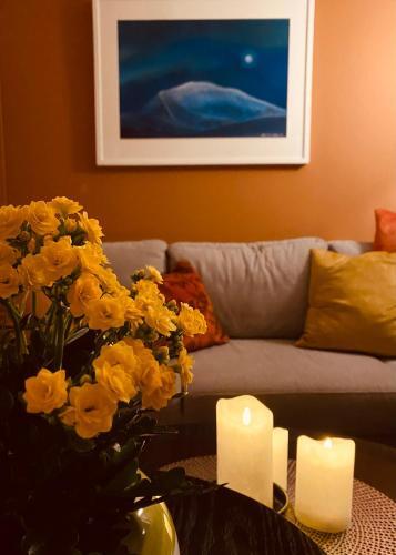Marthas Apartments - Arctic Light