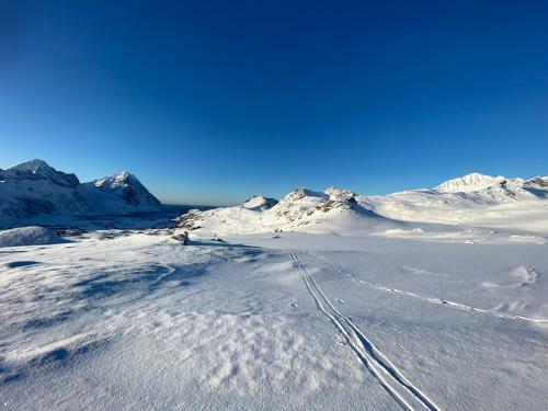 Feriehus Unstad I Lofoten