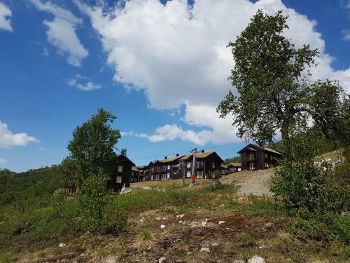 Apartamento Haukelifjell Skisenter