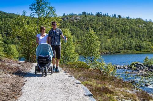 Apartamento Haukelifjell Skisenter
