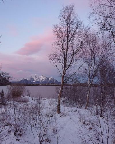 Lodge Bjerget