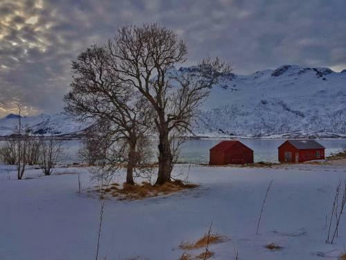 Pilan Lodge Lofoten