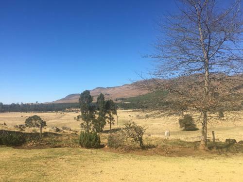 Apartamento Everwood Estates